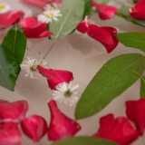 Si avvicina poi a una ciotola ricca di fiori, oli essenziali, foglie e ancora petali di rose...